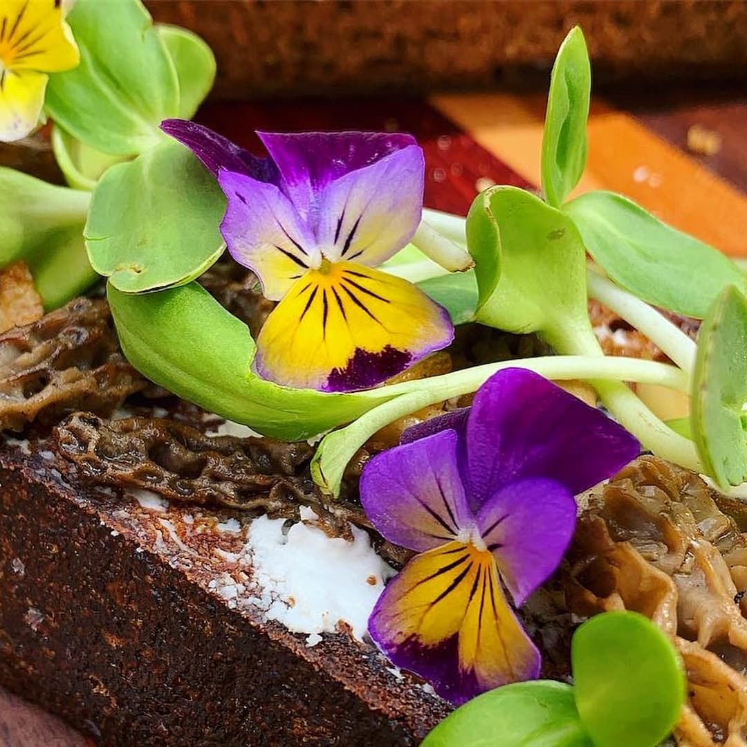 Microgreen & Morel Toast